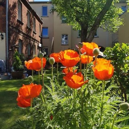 City Appartement Mit Garten, Zentral Und Trotzdem Ruhig 科特布斯 外观 照片