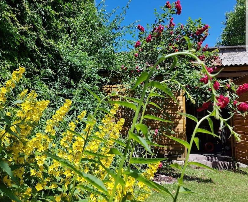 City Appartement Mit Garten, Zentral Und Trotzdem Ruhig 科特布斯 外观 照片