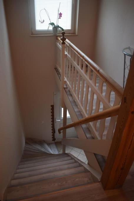 City Appartement Mit Garten, Zentral Und Trotzdem Ruhig 科特布斯 外观 照片