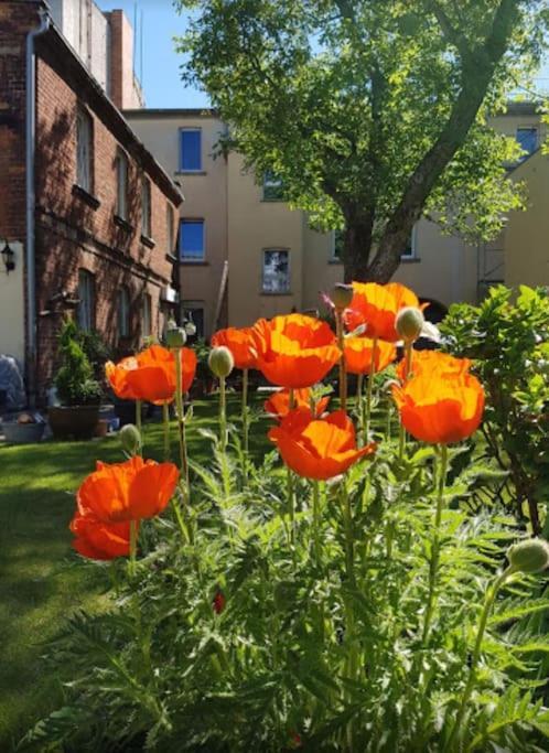 City Appartement Mit Garten, Zentral Und Trotzdem Ruhig 科特布斯 外观 照片